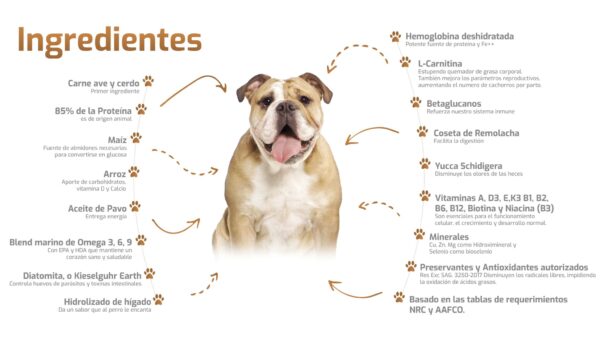 Bokato Adulto 20KG - Imagen 2