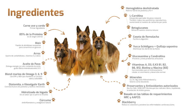 Bokato Gold Adulto 20KG - Imagen 2