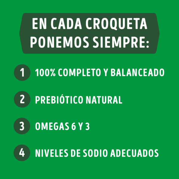 Dog Chow Adulto Razas Pequeñas 8 KG - Imagen 6