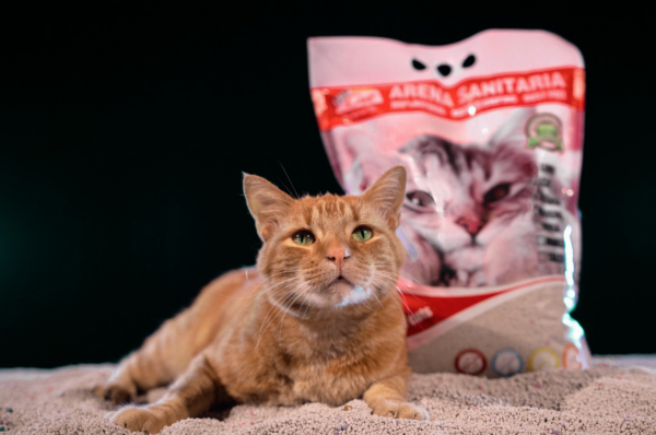 Display Arena Vip Cat Talco 6x3 KG Aglutinante - Imagen 2