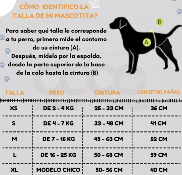 Pañal Soft Care para Perros X- Small - Imagen 2