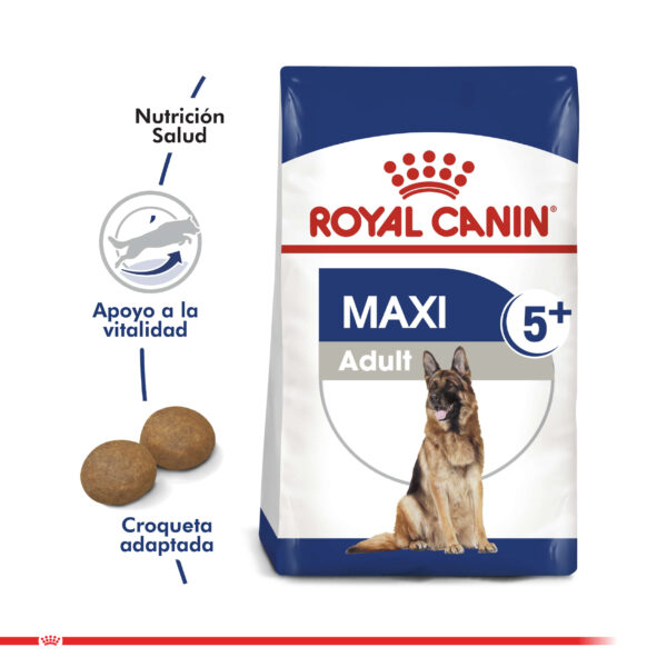 Royal Canin Maxi Adulto Senior 5+ 12 KG - Imagen 2