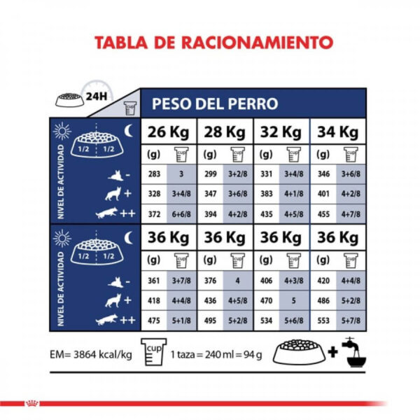 Royal Canin Maxi Adulto Senior 5+ 12 KG - Imagen 3