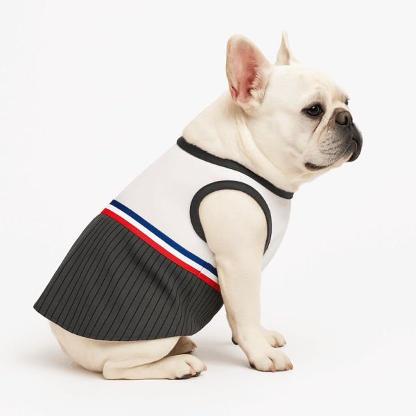 Traje Disfraz Mascotas Huaso Talla 3